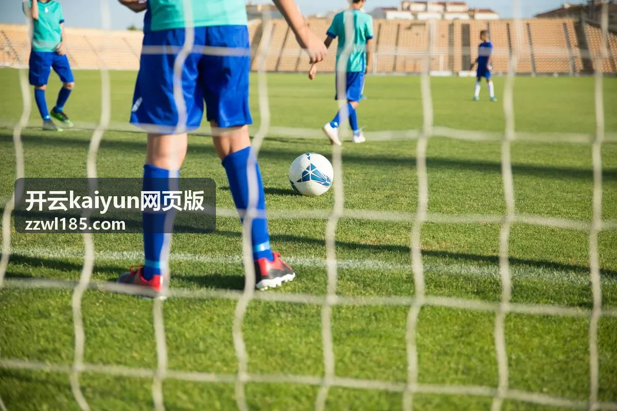 开云kaiyun网页版常见问题排查